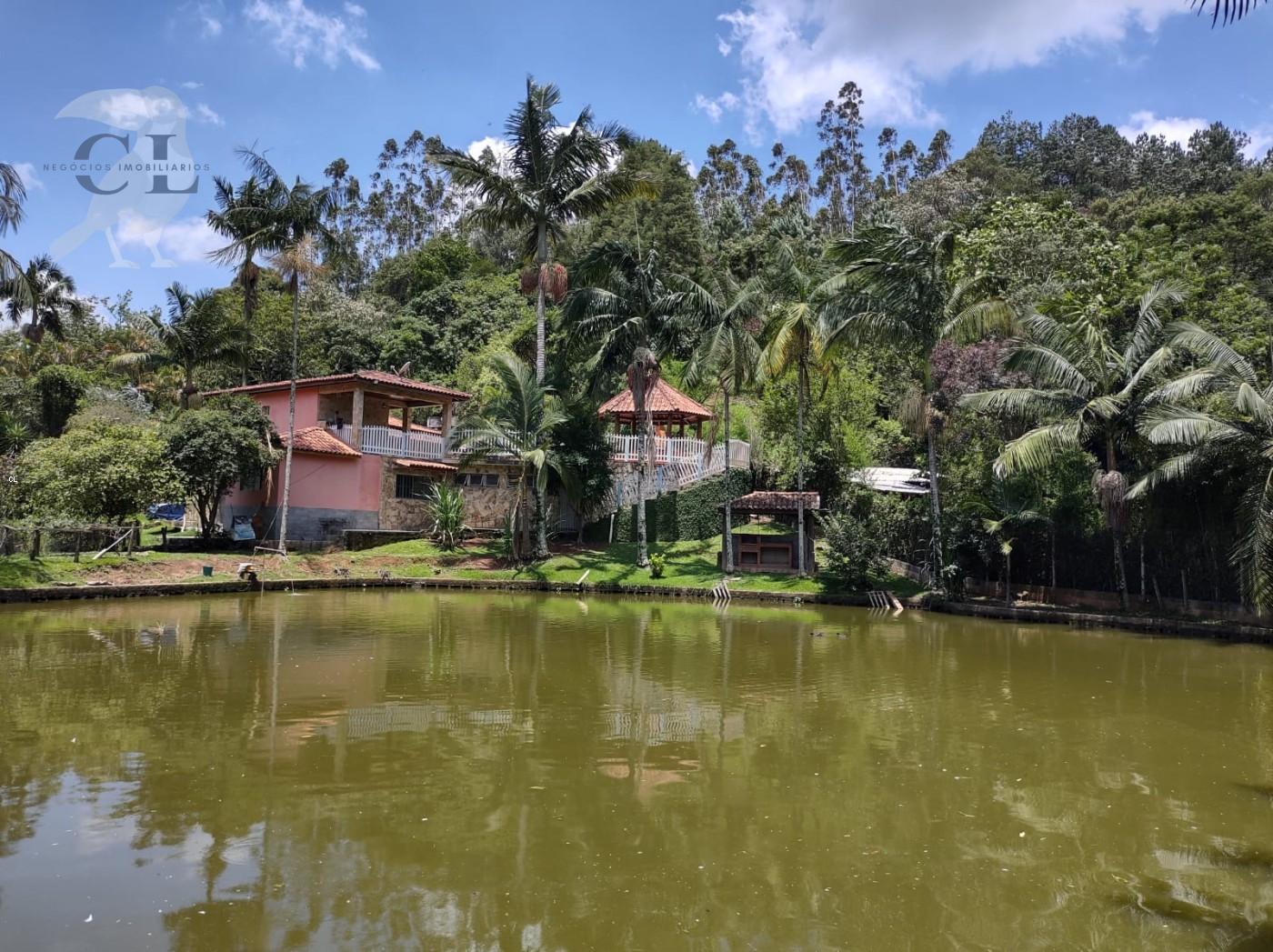 Sítio, 4 quartos, 3 hectares - Foto 1