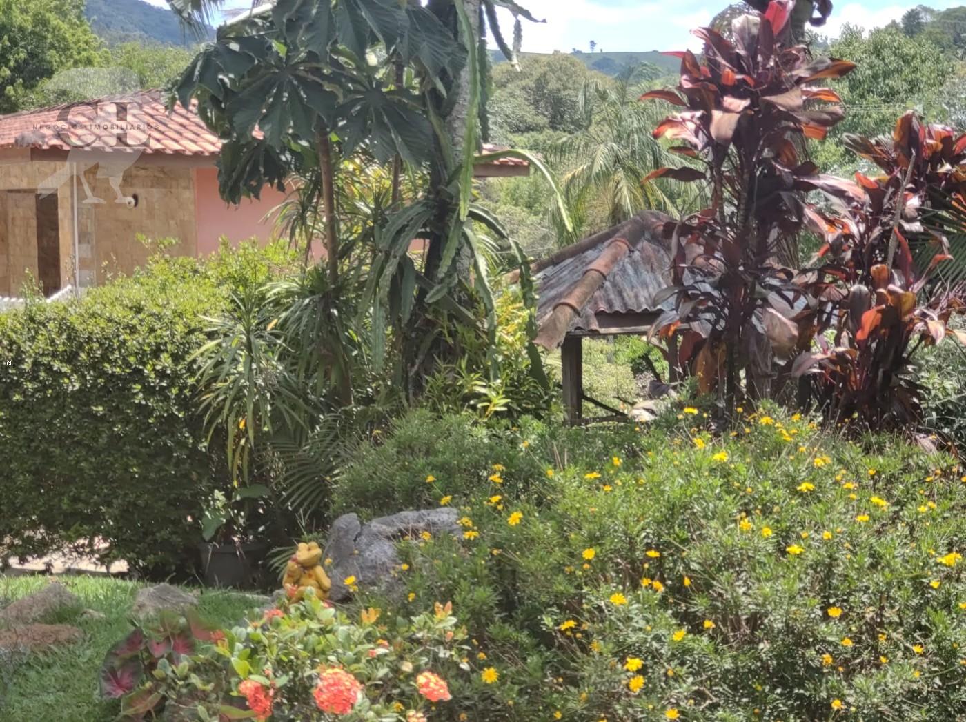 Sítio, 4 quartos, 3 hectares - Foto 40