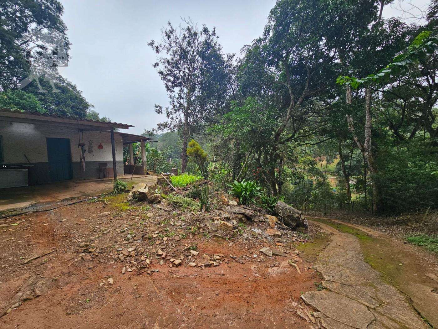 Chácara, 2 quartos, 10000 m² - Foto 2