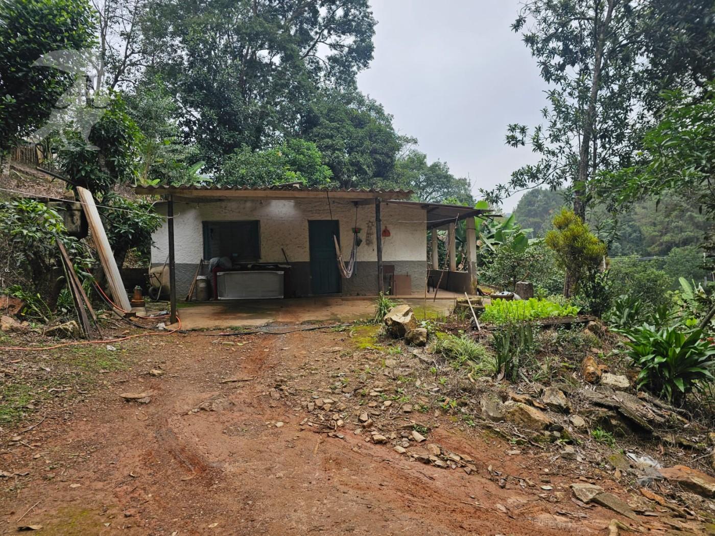 Chácara, 2 quartos, 10000 m² - Foto 6