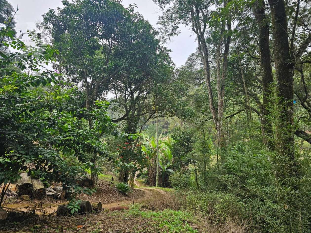 Chácara, 2 quartos, 10000 m² - Foto 5