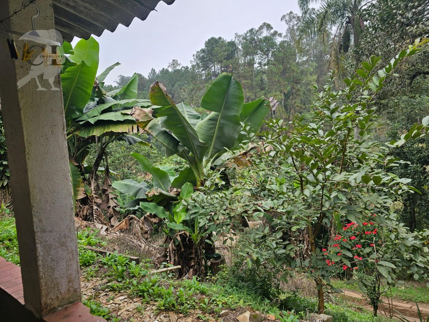 Chácara, 2 quartos, 10000 m² - Foto 10