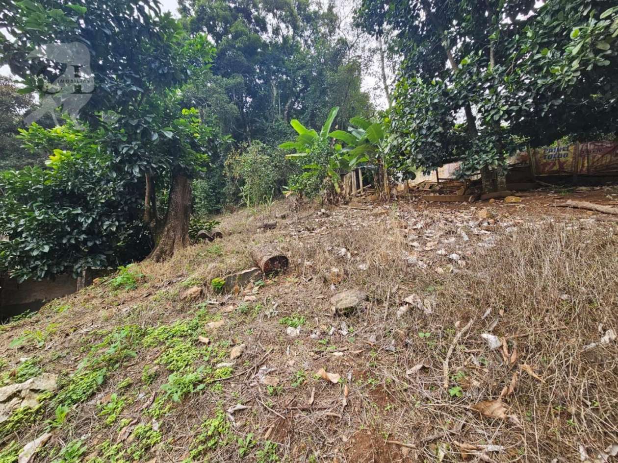 Chácara, 2 quartos, 10000 m² - Foto 12