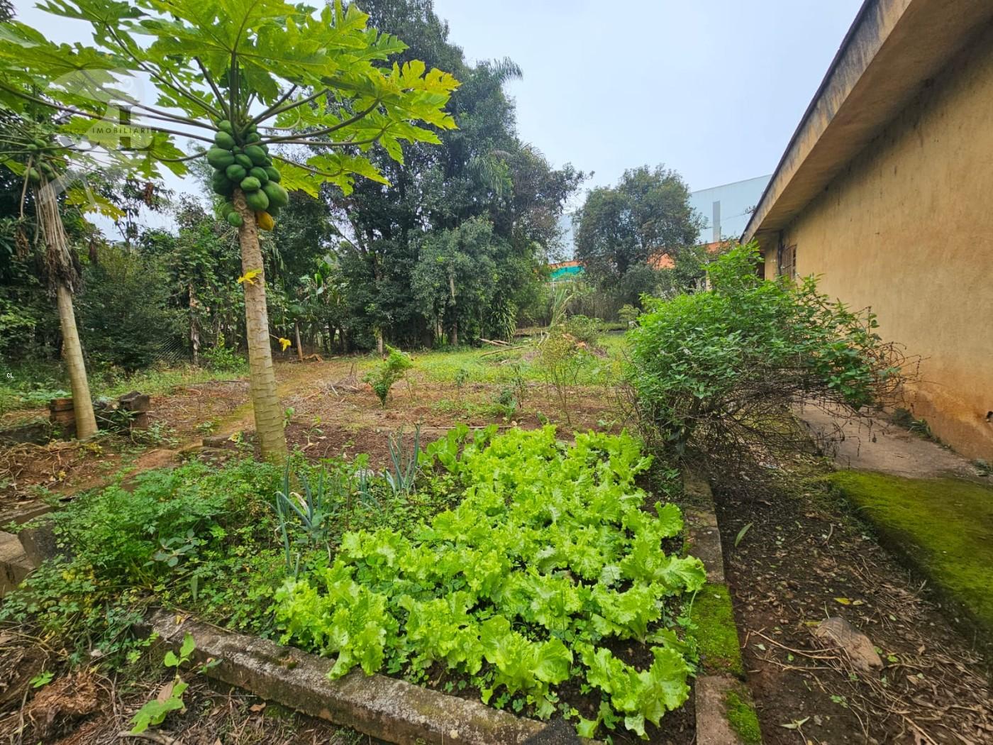 Chácara, 2 quartos, 3000 m² - Foto 2