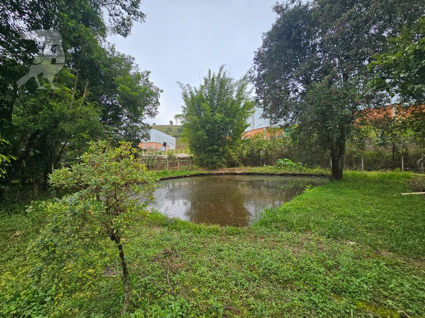 Chácara, 2 quartos, 3000 m² - Foto 4