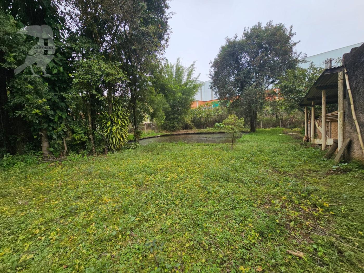 Chácara, 2 quartos, 3000 m² - Foto 3