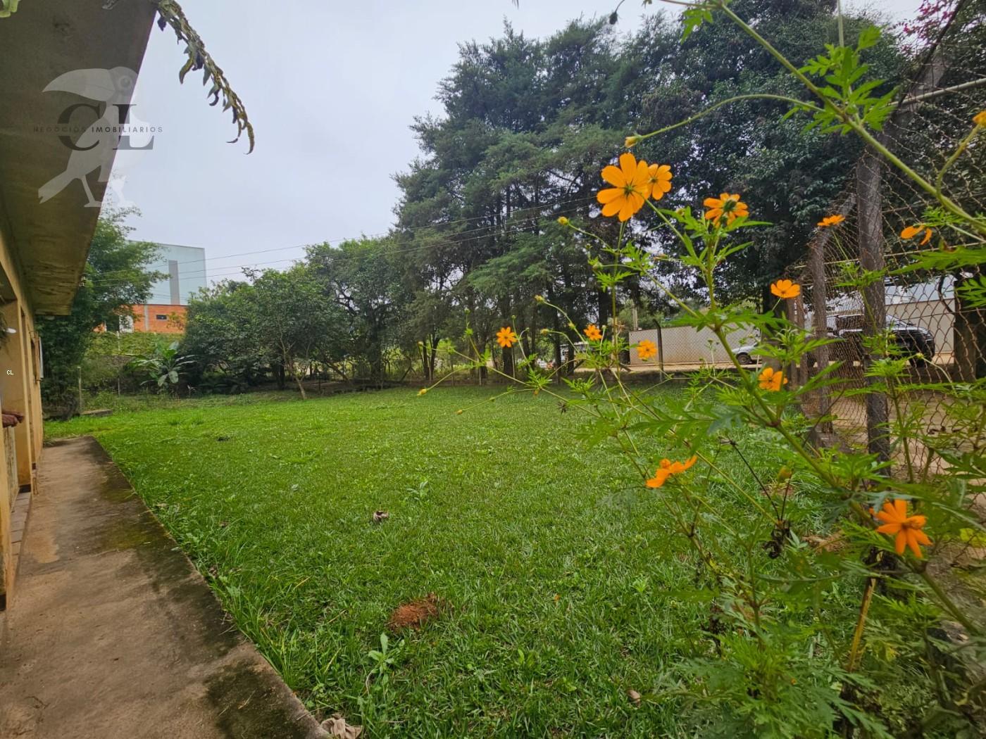 Chácara, 2 quartos, 3000 m² - Foto 7