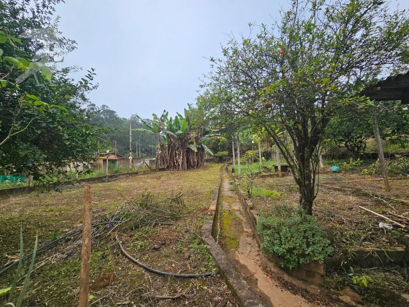 Chácara, 2 quartos, 3000 m² - Foto 6
